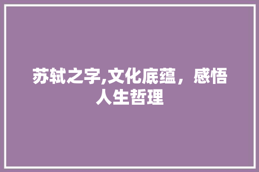 苏轼之字,文化底蕴,感悟人生哲理
