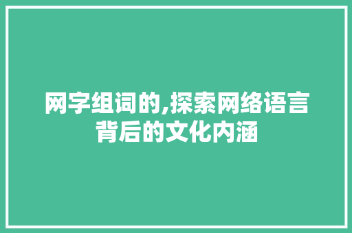 网字组词的,探索网络语言背后的文化内涵