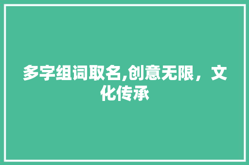 多字组词取名,创意无限,文化传承