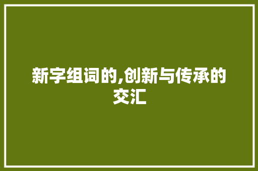 新字组词的,创新与传承的交汇