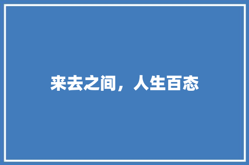 来去之间，人生百态