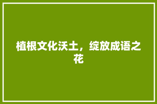 植根文化沃土，绽放成语之花