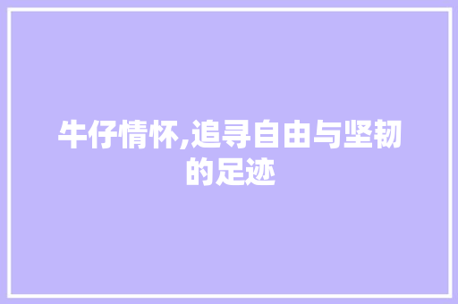 牛仔情怀,追寻自由与坚韧的足迹