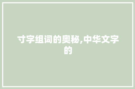 寸字组词的奥秘,中华文字的