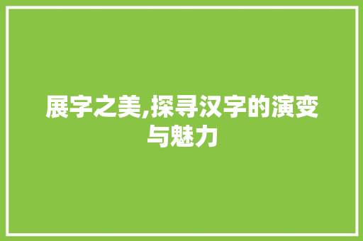 展字之美,探寻汉字的演变与魅力