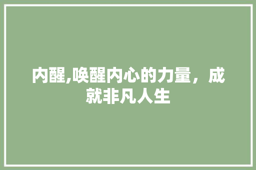 内醒,唤醒内心的力量,成就非凡人生