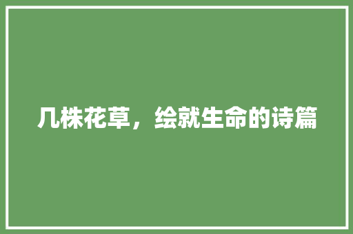几株花草，绘就生命的诗篇
