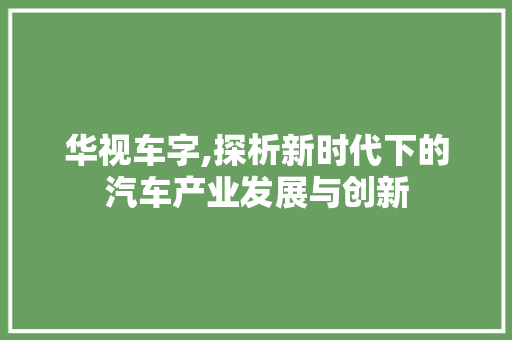 华视车字,探析新时代下的汽车产业发展与创新