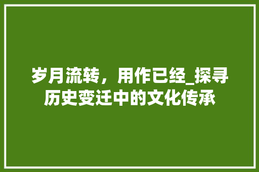 岁月流转，用作已经_探寻历史变迁中的文化传承