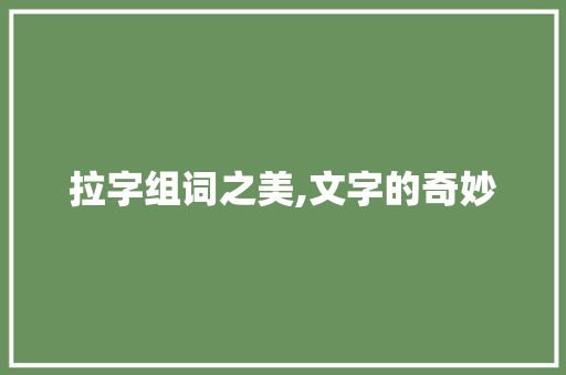 拉字组词之美,文字的奇妙