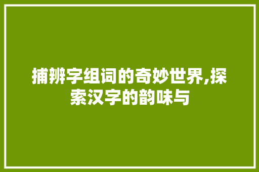 捕辨字组词的奇妙世界,探索汉字的韵味与
