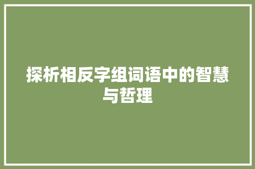 探析相反字组词语中的智慧与哲理