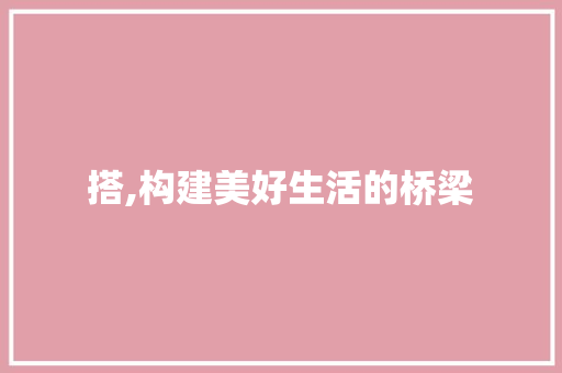 搭,构建美好生活的桥梁