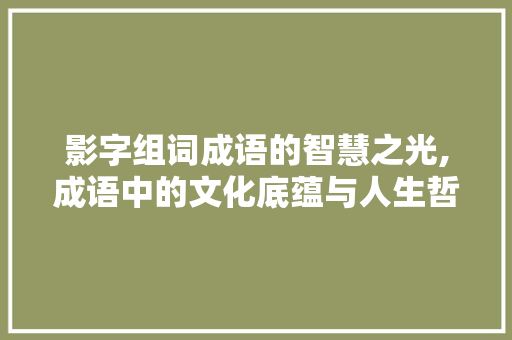 影字组词成语的智慧之光,成语中的文化底蕴与人生哲理