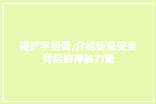 疑护字组词,介绍信息安全背后的神秘力量