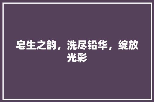 皂生之韵，洗尽铅华，绽放光彩