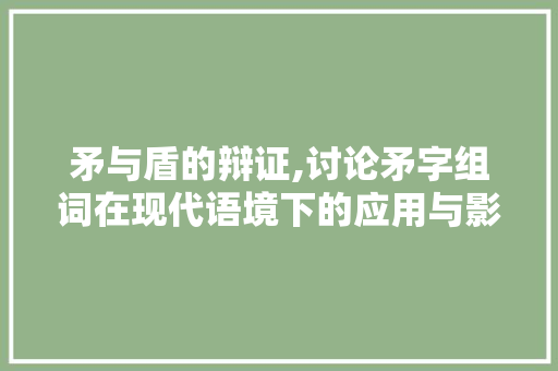 矛与盾的辩证,讨论矛字组词在现代语境下的应用与影响