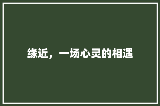 缘近，一场心灵的相遇