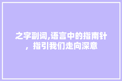 之字副词,语言中的指南针，指引我们走向深意