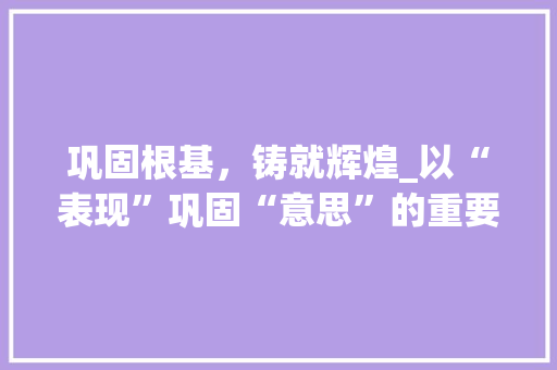 巩固根基，铸就辉煌_以“表现”巩固“意思”的重要性与实施路径