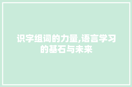 识字组词的力量,语言学习的基石与未来