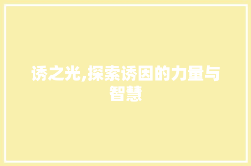 诱之光,探索诱因的力量与智慧