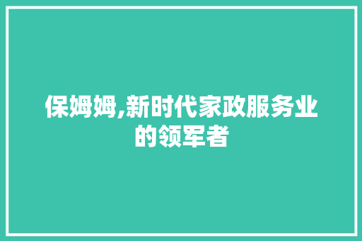 保姆姆,新时代家政服务业的领军者