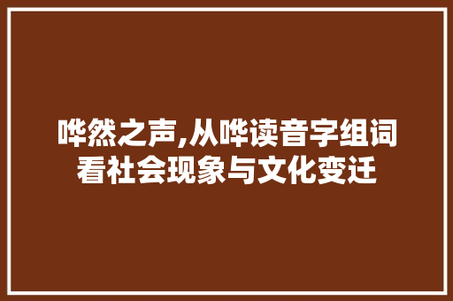 哗然之声,从哗读音字组词看社会现象与文化变迁
