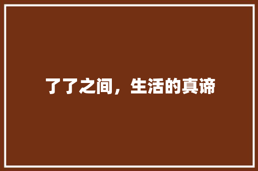 了了之间，生活的真谛