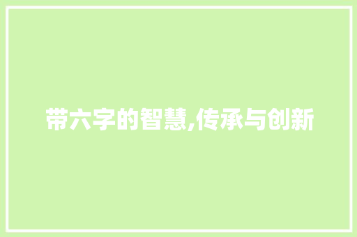 带六字的智慧,传承与创新