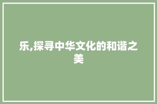 乐,探寻中华文化的和谐之美