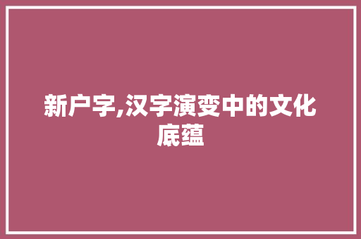 新户字,汉字演变中的文化底蕴