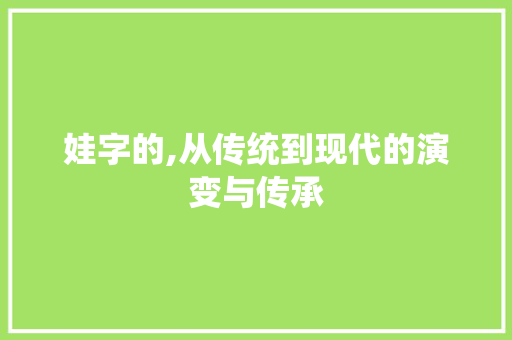 娃字的,从传统到现代的演变与传承