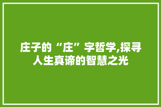 庄子的“庄”字哲学,探寻人生真谛的智慧之光