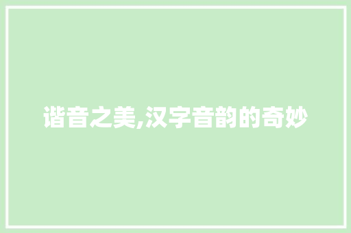 谐音之美,汉字音韵的奇妙