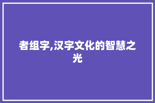 者组字,汉字文化的智慧之光