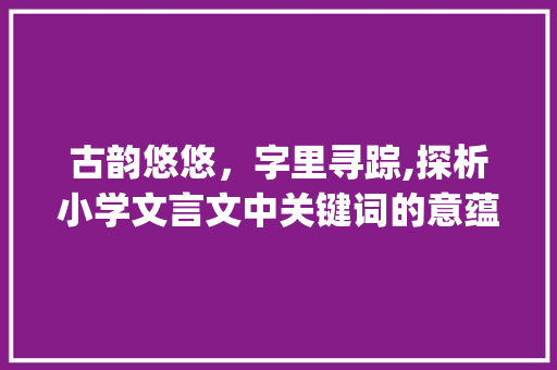 古韵悠悠，字里寻踪,探析小学文言文中关键词的意蕴_小学文言文里的字的意思