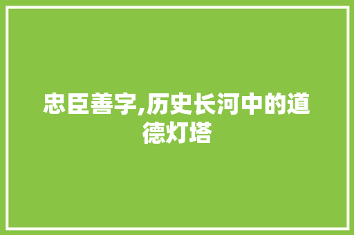 忠臣善字,历史长河中的道德灯塔