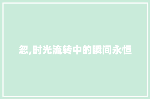 忽,时光流转中的瞬间永恒