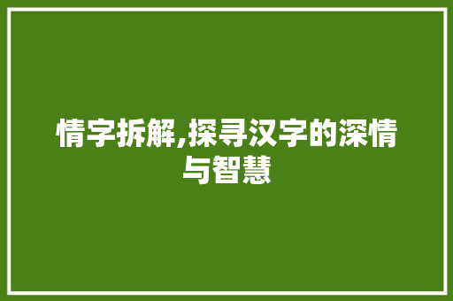 情字拆解,探寻汉字的深情与智慧