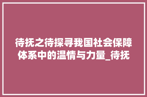 待抚之待探寻我国社会保障体系中的温情与力量_待抚的待字是什么意思
