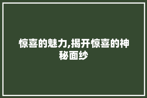 惊喜的魅力,揭开惊喜的神秘面纱