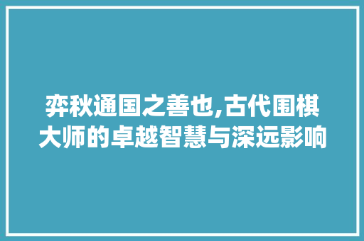 弈秋通国之善也,古代围棋大师的卓越智慧与深远影响_弈秋通国之善也字的意思