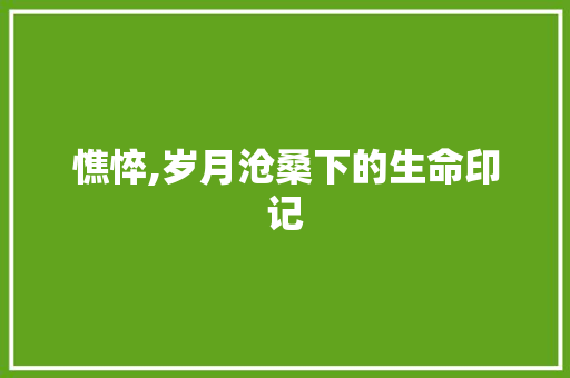 憔悴,岁月沧桑下的生命印记