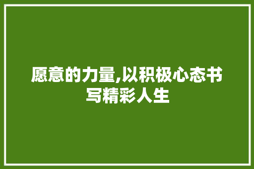 愿意的力量,以积极心态书写精彩人生
