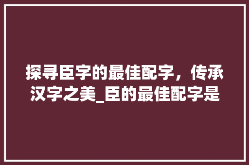探寻臣字的最佳配字，传承汉字之美_臣的最佳配字是什么意思  第1张