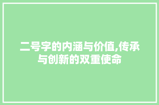二号字的内涵与价值,传承与创新的双重使命
