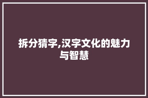 拆分猜字,汉字文化的魅力与智慧