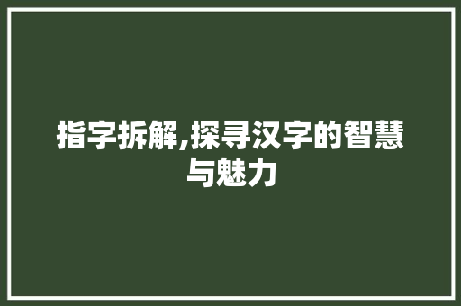 指字拆解,探寻汉字的智慧与魅力