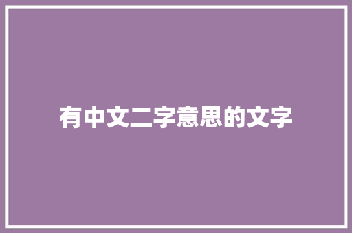 有中文二字意思的文字